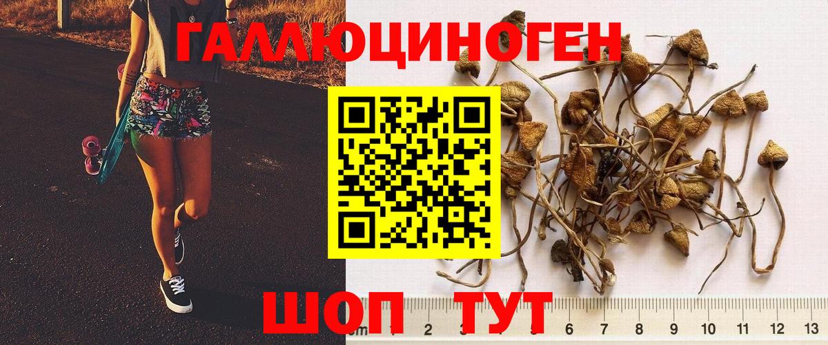купить закладку  Галлюциногенные грибы мицелий  Галлюциногенные грибы GOLDEN TEACHER  Вход с VPN  Гагарин 