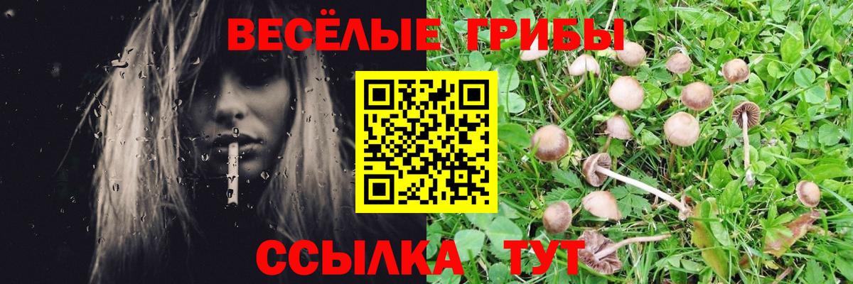 Галлюциногенные грибы Psilocybe Гагарин